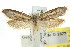  ( - CCDB-15793-H04)  @12 [ ] CreativeCommons - Attribution (2011) ANIC/CBG Photography Group Centre for Biodiversity Genomics
