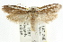  ( - CCDB-15796-E11)  @11 [ ] CreativeCommons - Attribution (2011) ANIC/CBG Photography Group Centre for Biodiversity Genomics