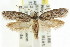  ( - CCDB-15796-G06)  @12 [ ] CreativeCommons - Attribution (2011) ANIC/CBG Photography Group Centre for Biodiversity Genomics