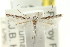  (Lyonetiid sp. ANIC8 - CCDB-15799-D04)  @11 [ ] CreativeCommons - Attribution (2011) ANIC/CBG Photography Group Centre for Biodiversity Genomics
