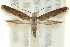  ( - CCDB-15803-A05)  @11 [ ] CreativeCommons - Attribution (2011) ANIC/CBG Photography Group Centre for Biodiversity Genomics