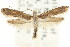  ( - CCDB-15803-A12)  @11 [ ] CreativeCommons - Attribution (2011) ANIC/CBG Photography Group Centre for Biodiversity Genomics