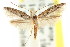 ( - CCDB-15803-B07)  @11 [ ] CreativeCommons - Attribution (2011) ANIC/CBG Photography Group Centre for Biodiversity Genomics