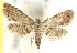  ( - CCDB-15805-C03)  @14 [ ] CreativeCommons - Attribution (2011) ANIC/CBG Photography Group Centre for Biodiversity Genomics