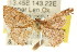  ( - CCDB-15809-A06)  @13 [ ] CreativeCommons - Attribution (2011) ANIC/CBG Photography Group Centre for Biodiversity Genomics