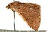 ( - CCDB-15809-A07)  @11 [ ] CreativeCommons - Attribution (2011) ANIC/CBG Photography Group Centre for Biodiversity Genomics