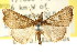  ( - CCDB-15809-B01)  @11 [ ] CreativeCommons - Attribution (2011) ANIC/CBG Photography Group Centre for Biodiversity Genomics