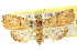  ( - CCDB-15809-F12)  @11 [ ] CreativeCommons - Attribution (2011) ANIC/CBG Photography Group Centre for Biodiversity Genomics