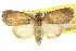  ( - CCDB-15809-H01)  @14 [ ] CreativeCommons - Attribution (2011) ANIC/CBG Photography Group Centre for Biodiversity Genomics