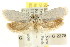  ( - CCDB-15813-B02)  @13 [ ] CreativeCommons - Attribution (2011) ANIC/CBG Photography Group Centre for Biodiversity Genomics