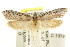  ( - CCDB-15813-B07)  @11 [ ] CreativeCommons - Attribution (2011) ANIC/CBG Photography Group Centre for Biodiversity Genomics