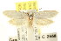  ( - CCDB-15814-E05)  @11 [ ] CreativeCommons - Attribution (2011) ANIC/CBG Photography Group Centre for Biodiversity Genomics