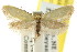  ( - CCDB-15814-H04)  @13 [ ] CreativeCommons - Attribution (2011) ANIC/CBG Photography Group Centre for Biodiversity Genomics