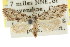  ( - CCDB-15815-G11)  @11 [ ] CreativeCommons - Attribution (2011) ANIC/CBG Photography Group Centre for Biodiversity Genomics