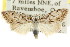 ( - CCDB-15815-G12)  @11 [ ] CreativeCommons - Attribution (2011) ANIC/CBG Photography Group Centre for Biodiversity Genomics