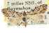  ( - CCDB-15815-H02)  @12 [ ] CreativeCommons - Attribution (2011) ANIC/CBG Photography Group Centre for Biodiversity Genomics