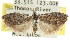  ( - CCDB-15815-H10)  @11 [ ] CreativeCommons - Attribution (2011) ANIC/CBG Photography Group Centre for Biodiversity Genomics