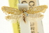  ( - CCDB-15816-B03)  @11 [ ] CreativeCommons - Attribution (2011) ANIC/CBG Photography Group Centre for Biodiversity Genomics