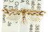  ( - CCDB-15820-B07)  @11 [ ] CreativeCommons - Attribution (2011) ANIC/CBG Photography Group Centre for Biodiversity Genomics