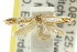  (Thudaca sp. ANICMK31 - CCDB-15820-D02)  @11 [ ] CreativeCommons - Attribution (2011) ANIC/CBG Photography Group Centre for Biodiversity Genomics