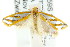  ( - CCDB-15820-G03)  @14 [ ] CreativeCommons - Attribution (2011) ANIC/CBG Photography Group Centre for Biodiversity Genomics