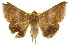  ( - CCDB-15823-E05)  @14 [ ] CreativeCommons - Attribution (2011) ANIC/CBG Photography Group Centre for Biodiversity Genomics