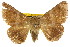  ( - CCDB-15823-E06)  @14 [ ] CreativeCommons - Attribution (2011) ANIC/CBG Photography Group Centre for Biodiversity Genomics
