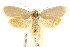  ( - CCDB-15824-A12)  @13 [ ] CreativeCommons - Attribution (2011) ANIC/CBG Photography Group Centre for Biodiversity Genomics