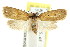  ( - CCDB-15826-H09)  @12 [ ] CreativeCommons - Attribution (2011) ANIC/CBG Photography Group Centre for Biodiversity Genomics
