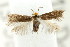  ( - CCDB-15829-F05)  @11 [ ] CreativeCommons - Attribution (2011) ANIC/CBG Photography Group Centre for Biodiversity Genomics