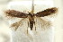  ( - CCDB-15829-F11)  @11 [ ] CreativeCommons - Attribution (2011) ANIC/CBG Photography Group Centre for Biodiversity Genomics