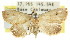  ( - CCDB-15831-C08)  @13 [ ] CreativeCommons - Attribution (2011) ANIC/CBG Photography Group Centre for Biodiversity Genomics