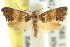 ( - CCDB-15835-H04)  @11 [ ] CreativeCommons - Attribution (2011) ANIC/CBG Photography Group Centre for Biodiversity Genomics