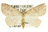  ( - CCDB-15836-D09)  @12 [ ] CreativeCommons - Attribution (2011) ANIC/CBG Photography Group Centre for Biodiversity Genomics