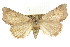  ( - CCDB-15836-E04)  @12 [ ] CreativeCommons - Attribution (2011) ANIC/CBG Photography Group Centre for Biodiversity Genomics