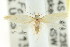  ( - CCDB-15838-D01)  @12 [ ] CreativeCommons - Attribution (2011) ANIC/CBG Photography Group Centre for Biodiversity Genomics