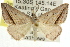  ( - CCDB-15839-A06)  @11 [ ] CreativeCommons - Attribution (2011) ANIC/CBG Photography Group Centre for Biodiversity Genomics