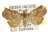 ( - CCDB-15839-B06)  @14 [ ] CreativeCommons - Attribution (2011) ANIC/CBG Photography Group Centre for Biodiversity Genomics