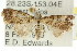  ( - CCDB-15839-C02)  @13 [ ] CreativeCommons - Attribution (2011) ANIC/CBG Photography Group Centre for Biodiversity Genomics