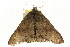  ( - CCDB-15839-G02)  @14 [ ] CreativeCommons - Attribution (2011) ANIC/CBG Photography Group Centre for Biodiversity Genomics