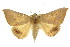 ( - CCDB-15842-B02)  @11 [ ] CreativeCommons - Attribution (2011) ANIC/CBG Photography Group Centre for Biodiversity Genomics