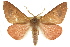  ( - CCDB-15848-E04)  @15 [ ] CreativeCommons - Attribution (2011) ANIC/CBG Photography Group Centre for Biodiversity Genomics