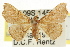  ( - CCDB-15851-B05)  @14 [ ] CreativeCommons - Attribution (2011) ANIC/CBG Photography Group Centre for Biodiversity Genomics