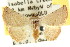  ( - CCDB-15851-F02)  @13 [ ] CreativeCommons - Attribution (2011) ANIC/CBG Photography Group Centre for Biodiversity Genomics