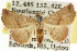  ( - CCDB-15851-F06)  @14 [ ] CreativeCommons - Attribution (2011) ANIC/CBG Photography Group Centre for Biodiversity Genomics