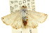  ( - CCDB-15851-F11)  @12 [ ] CreativeCommons - Attribution (2011) ANIC/CBG Photography Group Centre for Biodiversity Genomics