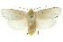  ( - CCDB-15852-E05)  @11 [ ] CreativeCommons - Attribution (2011) ANIC/CBG Photography Group Centre for Biodiversity Genomics
