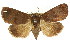  ( - CCDB-15853-F07)  @11 [ ] CreativeCommons - Attribution (2011) ANIC/CBG Photography Group Centre for Biodiversity Genomics