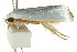  ( - CCDB-15853-F11)  @12 [ ] CreativeCommons - Attribution (2011) ANIC/CBG Photography Group Centre for Biodiversity Genomics