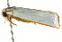  ( - CCDB-15853-G06)  @13 [ ] CreativeCommons - Attribution (2011) ANIC/CBG Photography Group Centre for Biodiversity Genomics